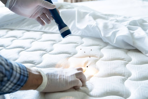 Pest control tech conducting a bed bug inspection on a matress