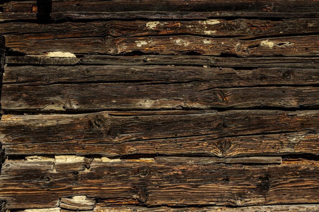 What Does a Termite Inspector Do?